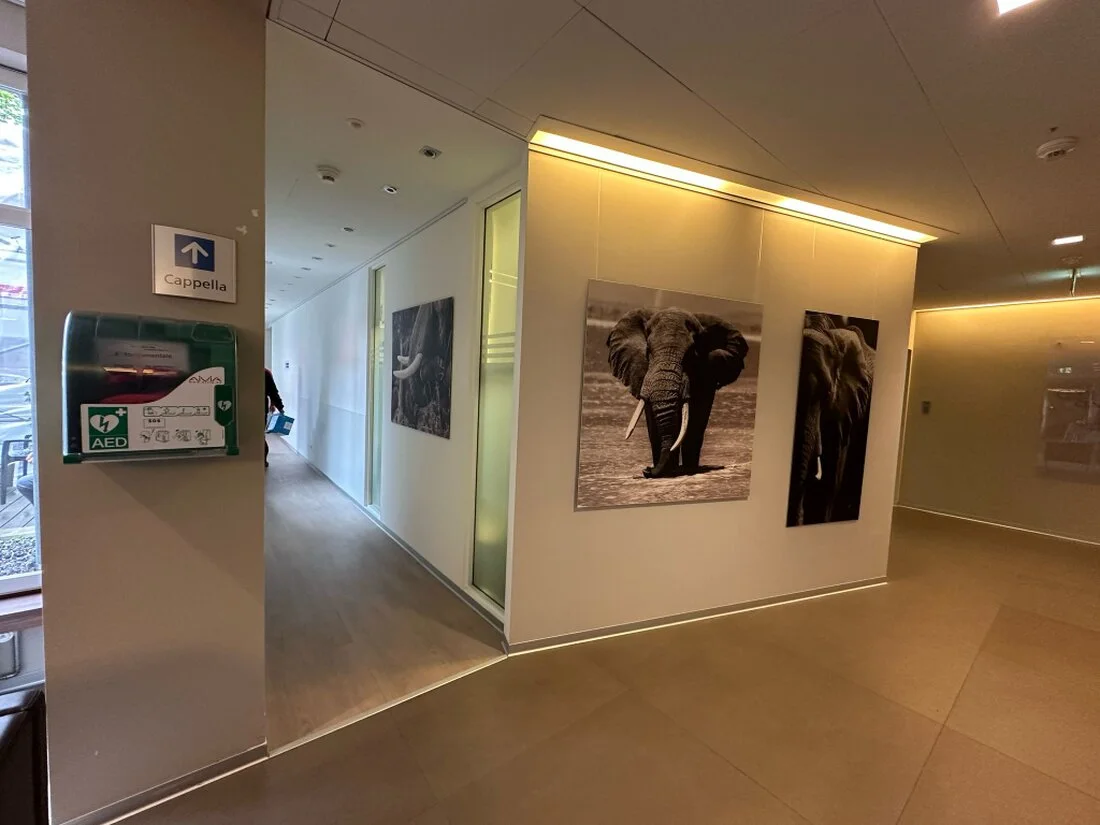 Photography exhibition in a gallery space